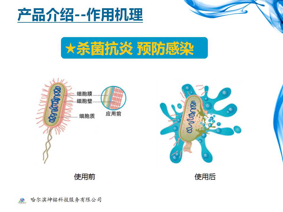 产品的功效及作用机理
